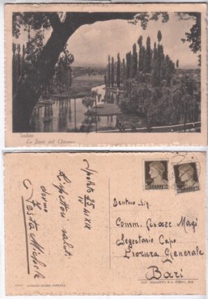 Cartolina Spoleto FONTI DEL CLITUMNO - Viaggiata