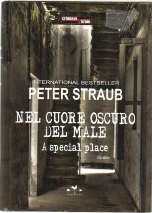 Nel cuore oscuro del male. A special place di Straub, Peter ed. Edizioni Anordest