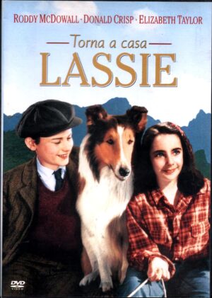 Torna a casa, Lassie! DVD in Italiano Roddy McDowall