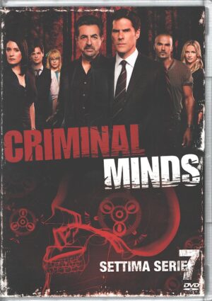 Criminal Minds - Stagione 7 Completa (Episodi 1-24) (Box 5 DVD) DVD in Italiano