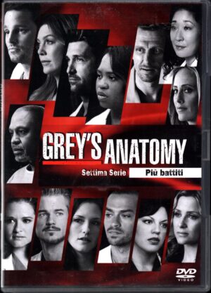 Grey's Anatomy - Stagione 7 Completa (Episodi 1-22) (Box 6 DVD) DVD in Italiano