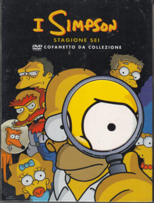 I Simpson - Stagione 6 Completa (Episodi 1-25) (4 DVD) con Cofanetto da Collezione - DVD in Italiano