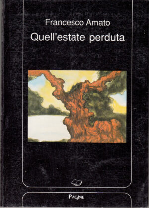 Quell'estate perduta di Francesco Amato ed. Pagine