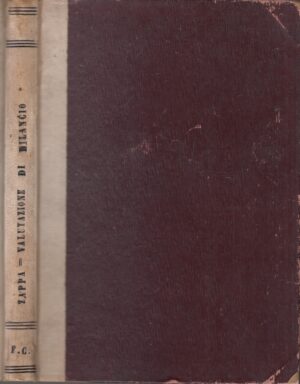 Le valutazioni di Bilancio con particolare riguardo ai bilanci delle Società per Azioni di Gino Zappa ed. 1910 Società Editrice Libraria