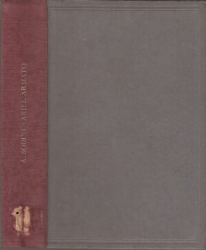 Ariel Armato (Gabriele D'Annunzio) di Angelo Sodini ed. Mondadori 1934