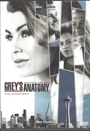 Grey's Anatomy. Stagione 14 Completa (Episodi 1-24) (Box con 6 DVD). DVD in Italiano