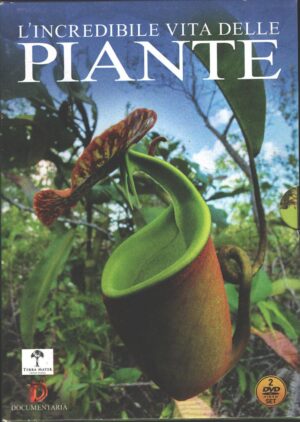 L'Incredibile vita delle Piante (5 DVD) con Cofanetto - DVD in Italiano