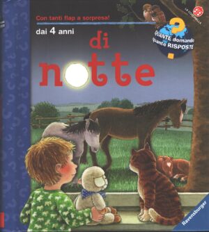 Di notte di Constanza Droop ed. La Coccinella (Con tante finestrelle da aprire)