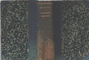 Les pionniers du Far-West - Les brigands des prairies (California gold rush) di F. Gerstaecker (in francese) ed. Levy Editeur