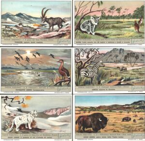 Figurine Liebig - Serie n. 1692 Completa (6 figurine) - Parchi Nazionali - Edizione Italiana 1958