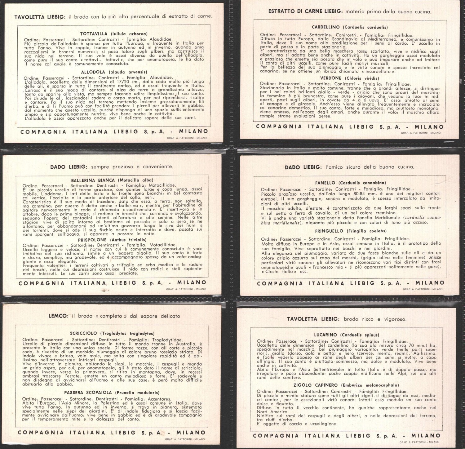 2025-03-10-14-10-03-01