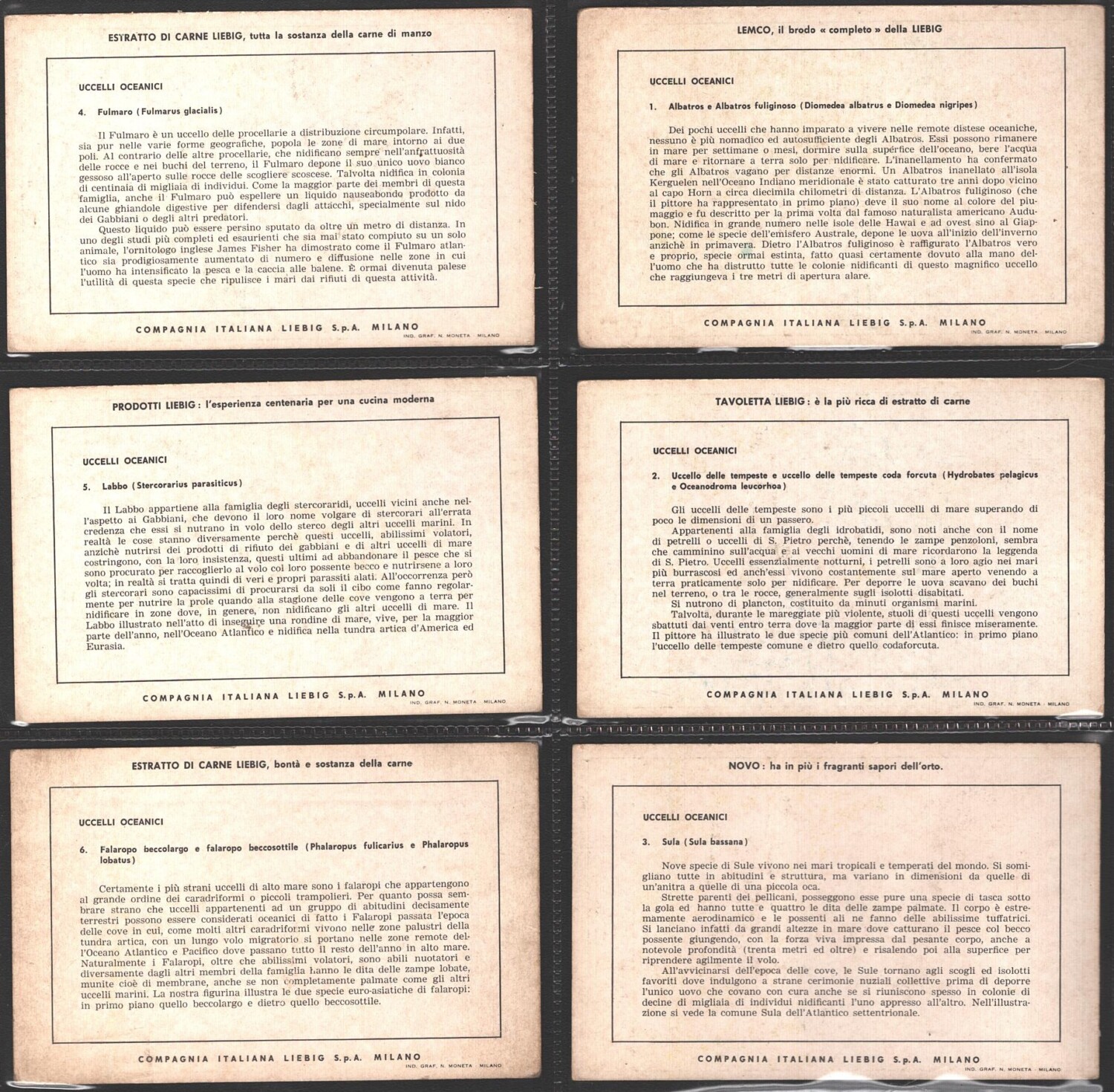 2025-03-10-16-00-57-01