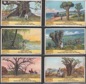 Figurine Liebig - Serie n. 1306 Completa (6 figurine) - Alberi Strani - Edizione Italiana 1935