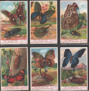 Figurine Liebig - Serie n. 1315 Completa (6 figurine) - Farfalle e Scarabei dei Tropici - Edizione Italiana 1935