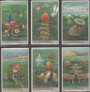 Figurine Liebig - Serie n. 1321 Completa (6 figurine) - La bellezza delle meduse - Edizione Italiana 1935