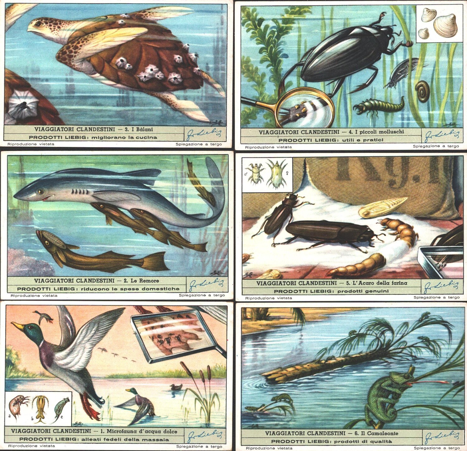 2025-03-12-10-42-55-01