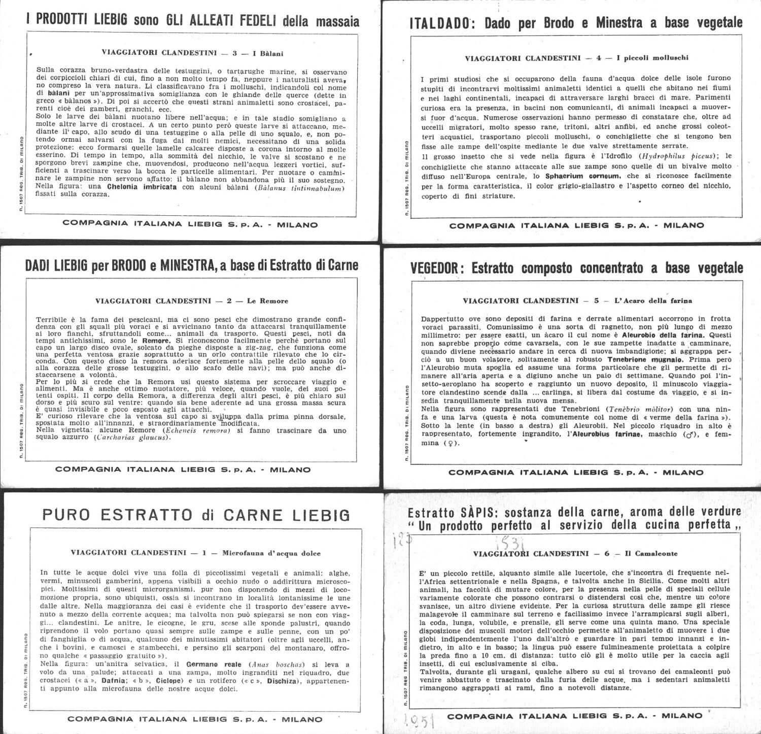 2025-03-12-10-43-53-01