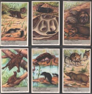 Figurine Liebig - Serie n. 1645 Completa (6 figurine) - Gli insettivori - Edizione Italiana