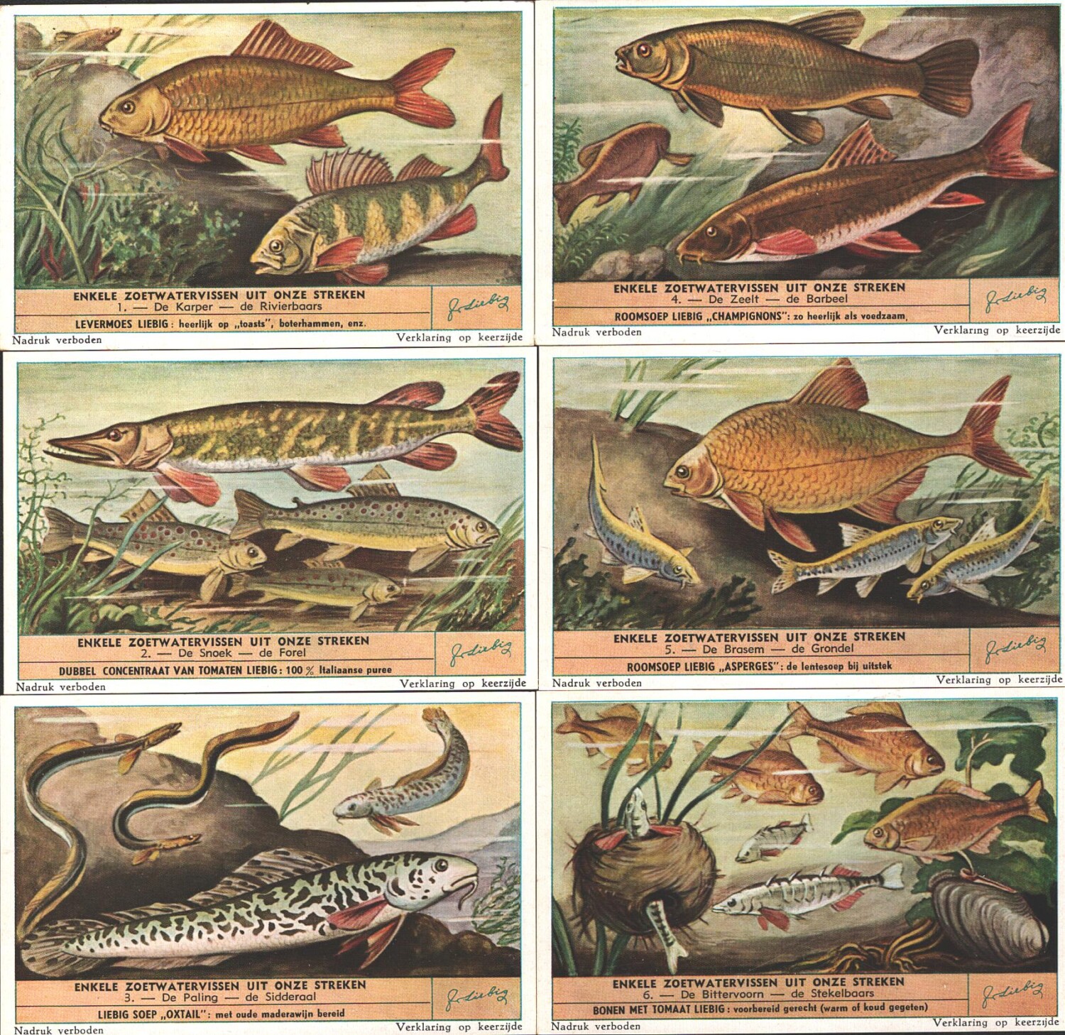 2025-03-13-15-57-15-01