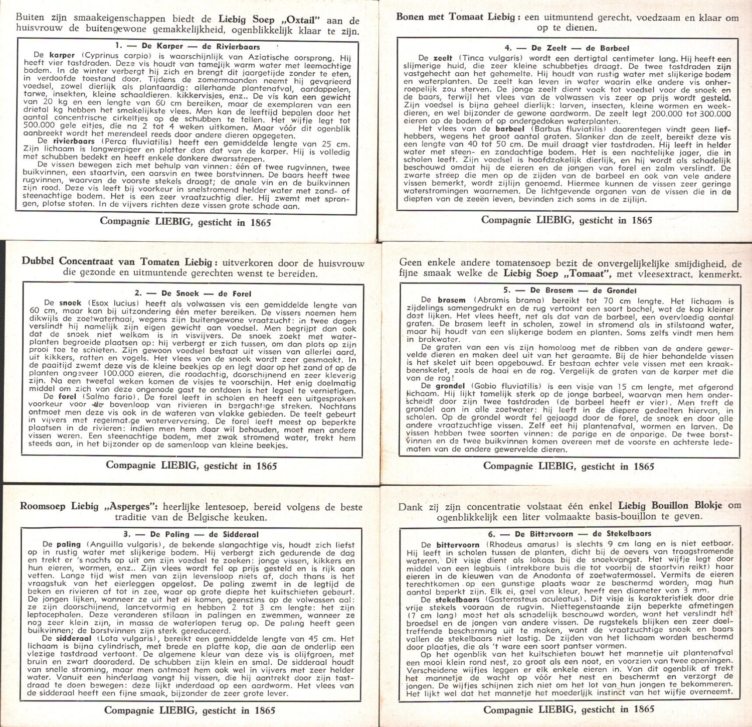 2025-03-13-15-58-02-01