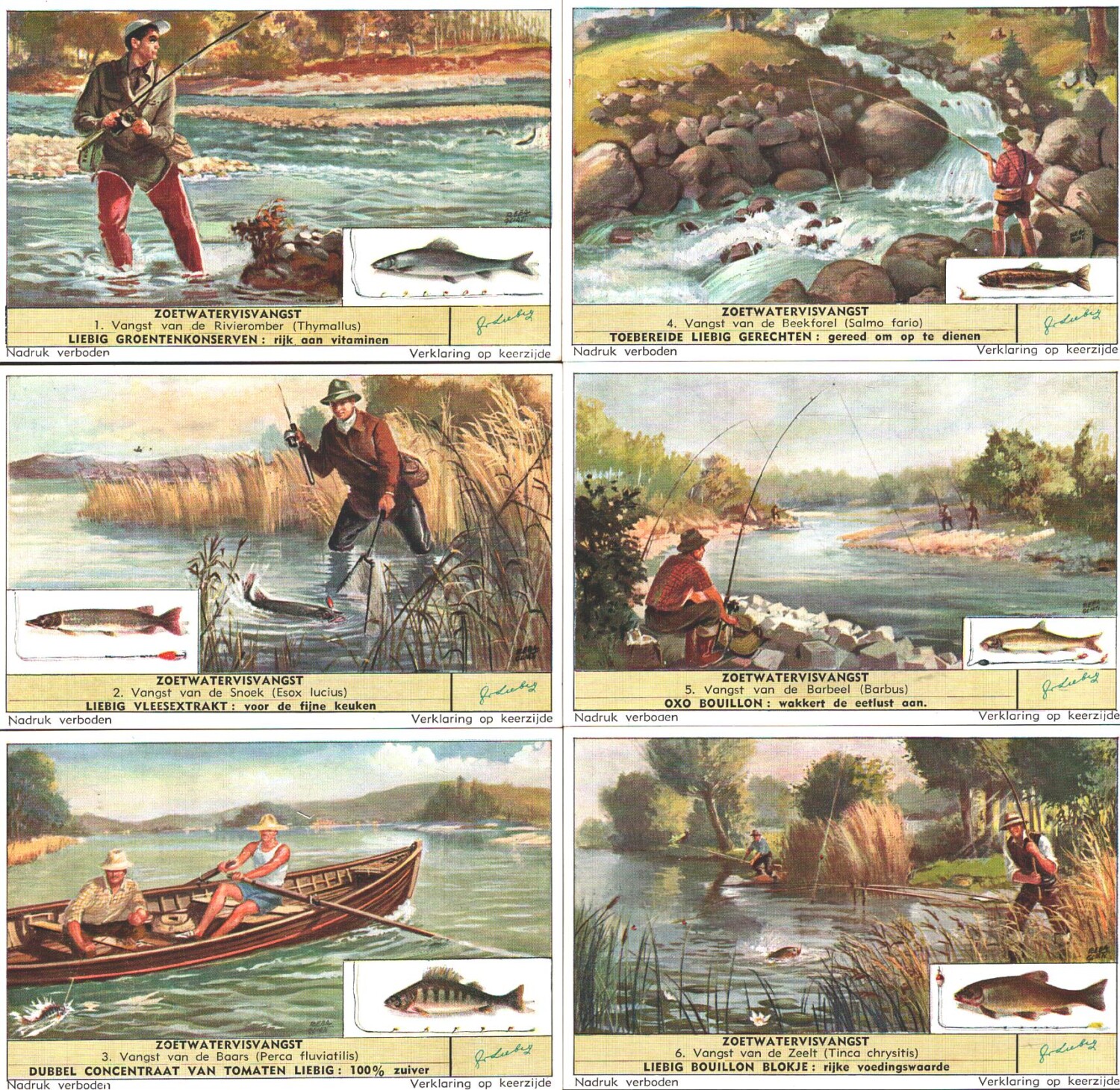 2025-03-17-09-49-22-01