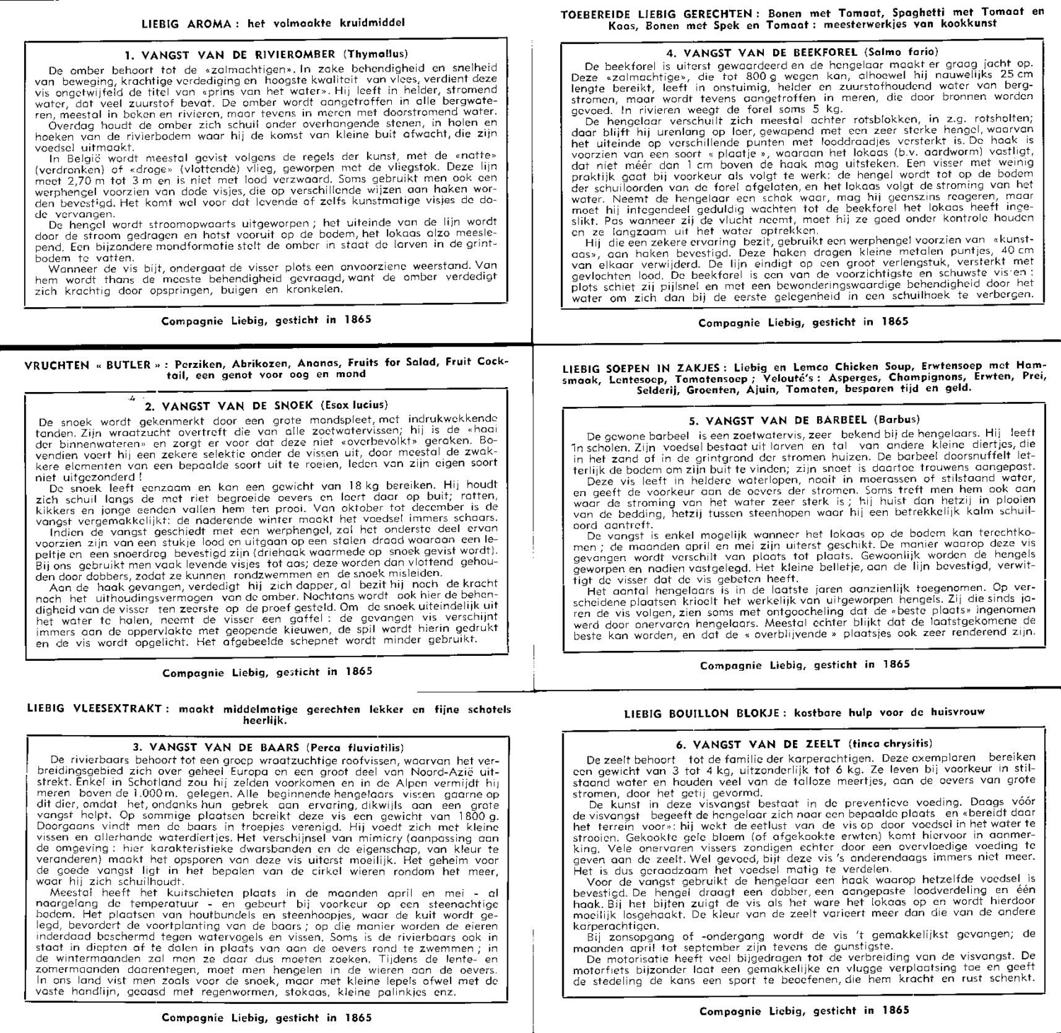 2025-03-17-09-50-08-01