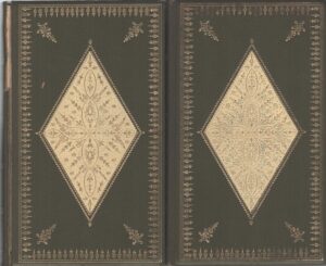 I demoni (2 volumi) di Fedor Dostoevskij - I Classici Russi ed. Orpheus