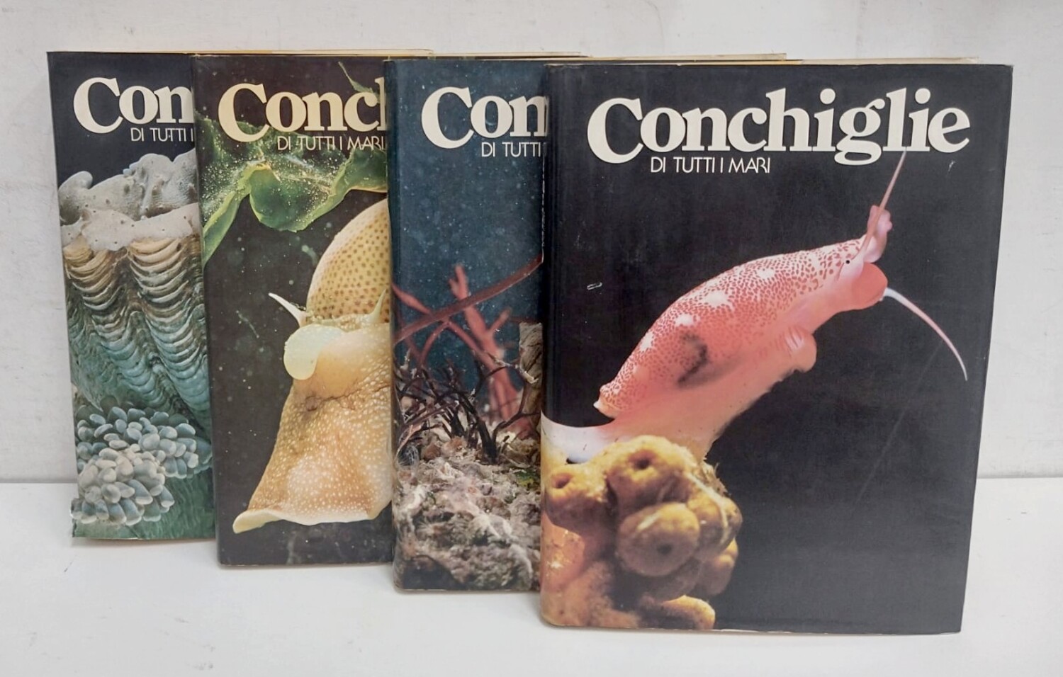 WhatsApp Image 2025-10-30 at 12.58.06