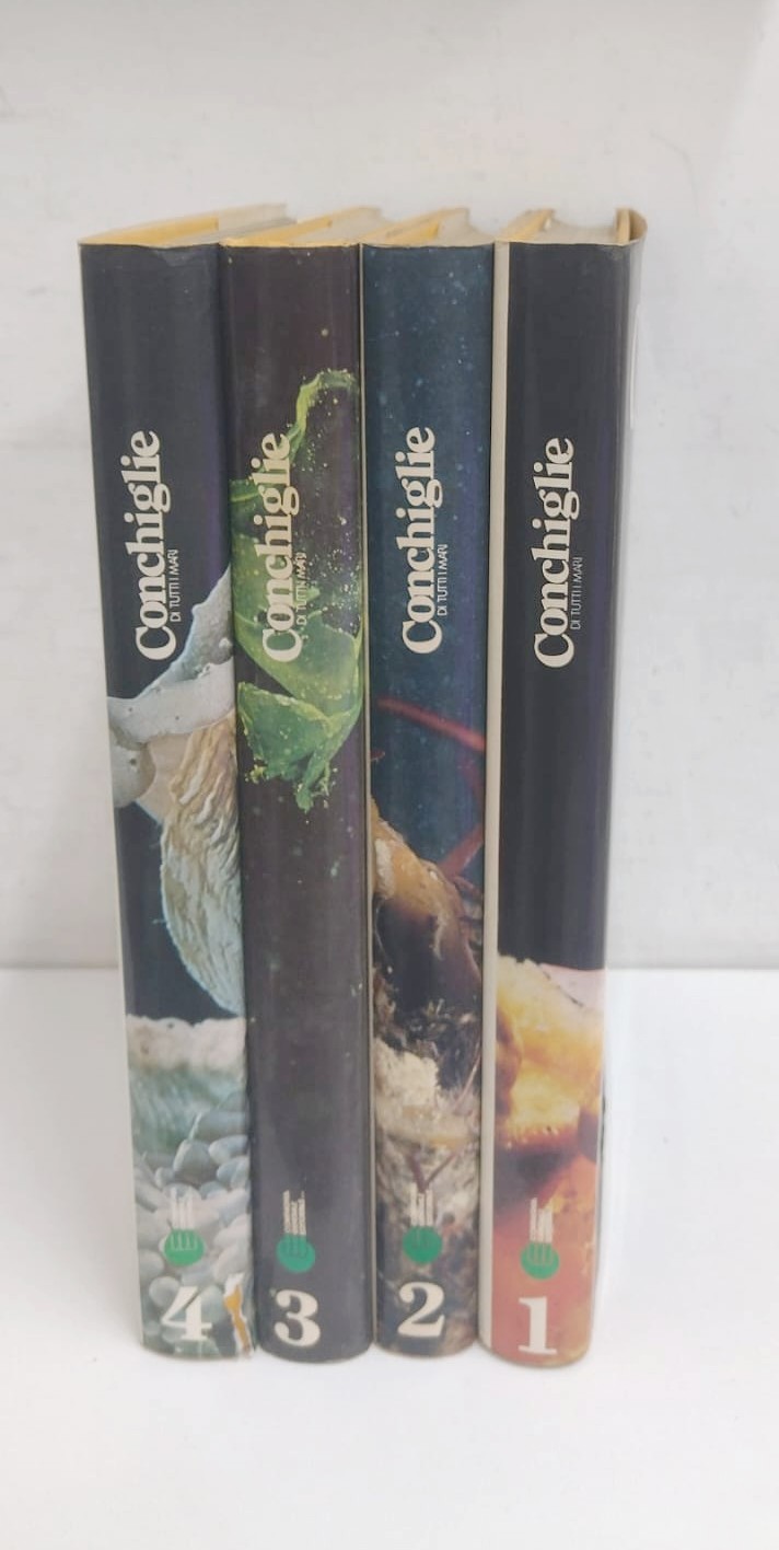 WhatsApp Image 2025-10-30 at 12.58.06s