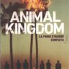 Animal Kingdom - Stagione 1 Completa (Episodi 1-10) con Cofanetto - DVD in Italiano