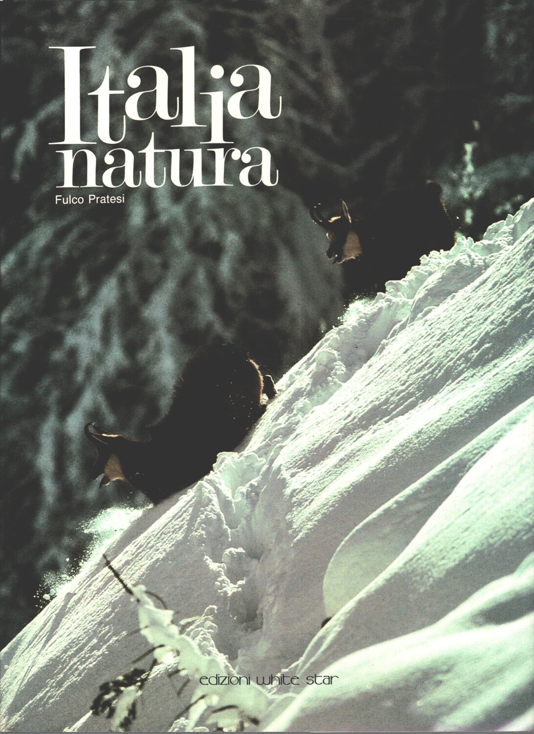 2026-01-20-15-02-29-01