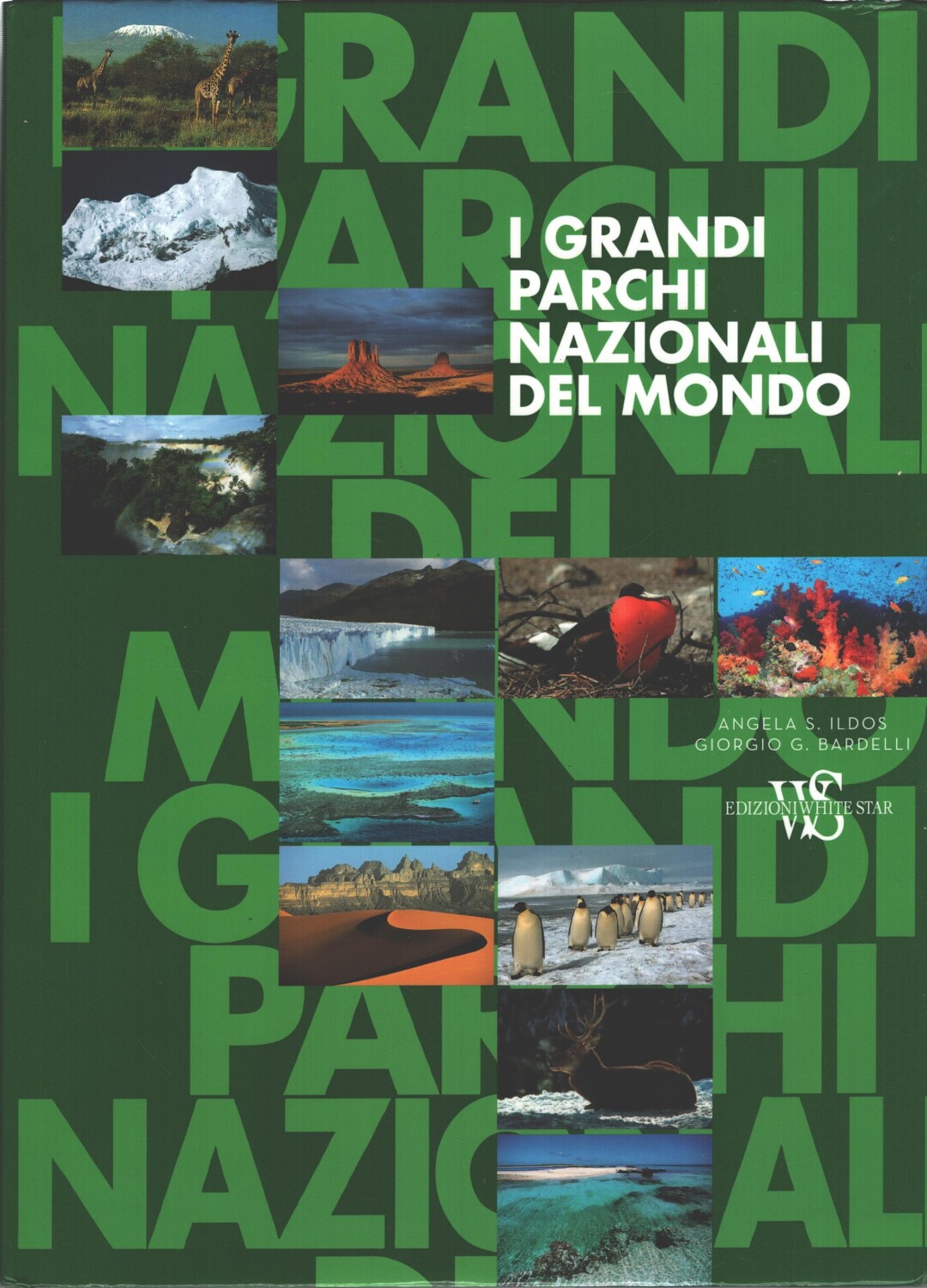 2026-01-28-12-55-09-01