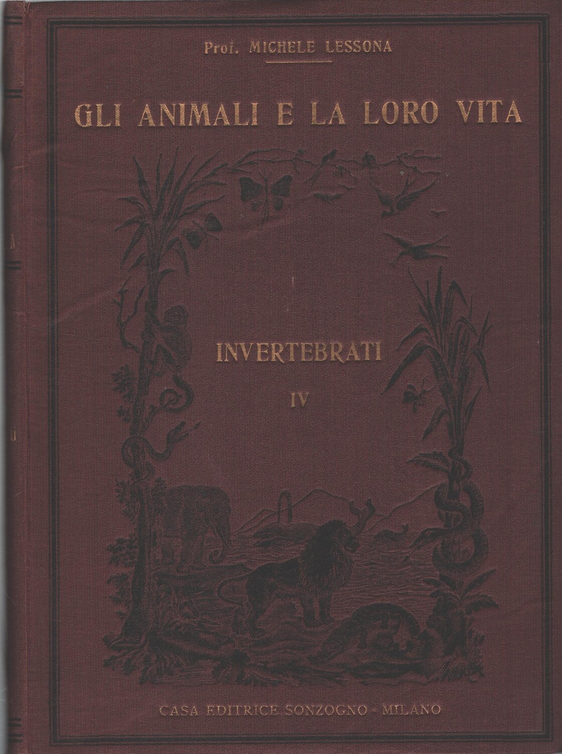 2026-01-28-16-14-26-01