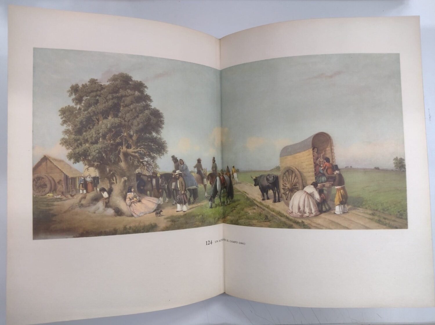 WhatsApp Image 2026-01-29 at 11.10.26 (1)