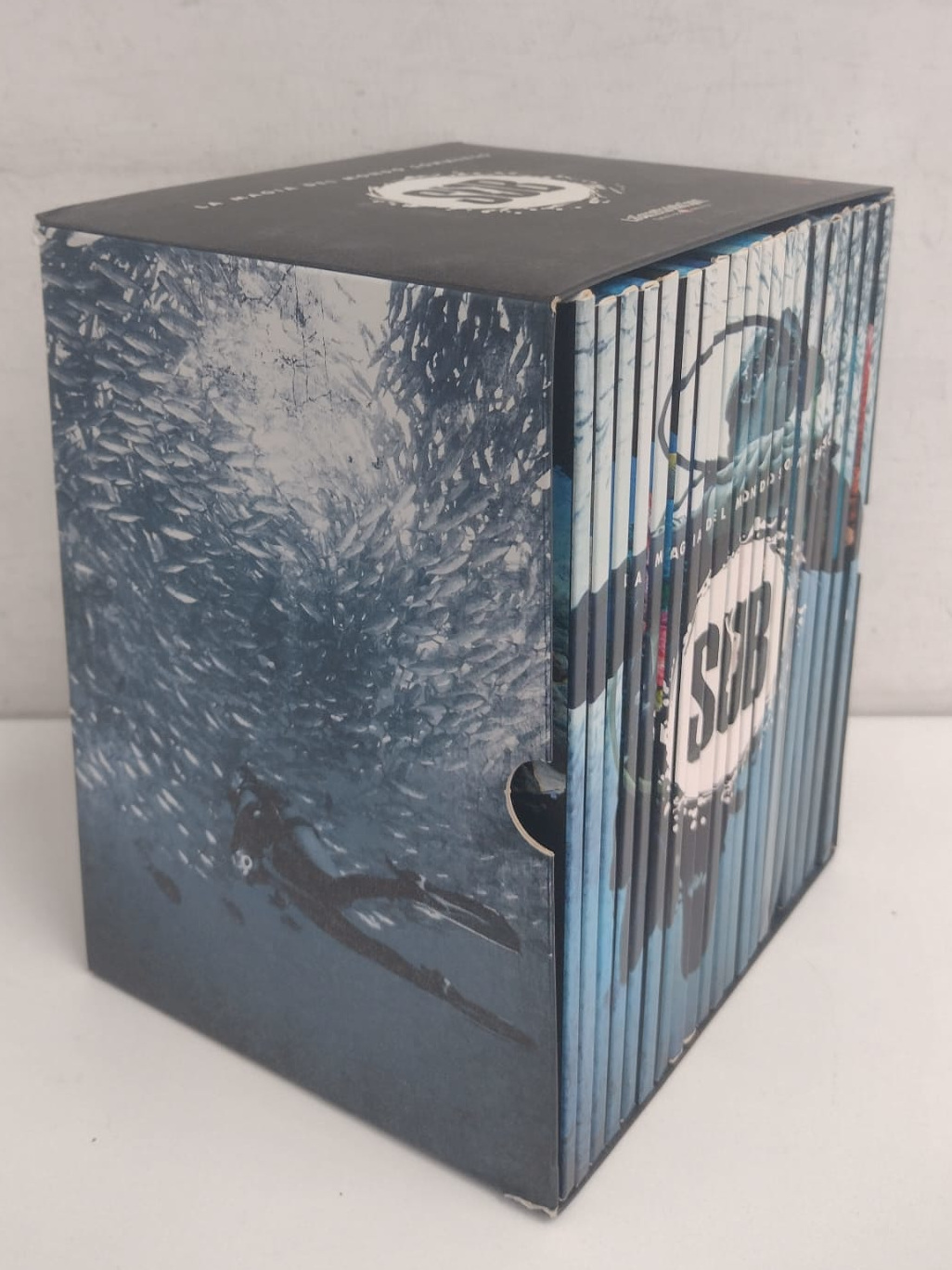 WhatsApp Image 2026-04-09 at 13.24.02 (4)