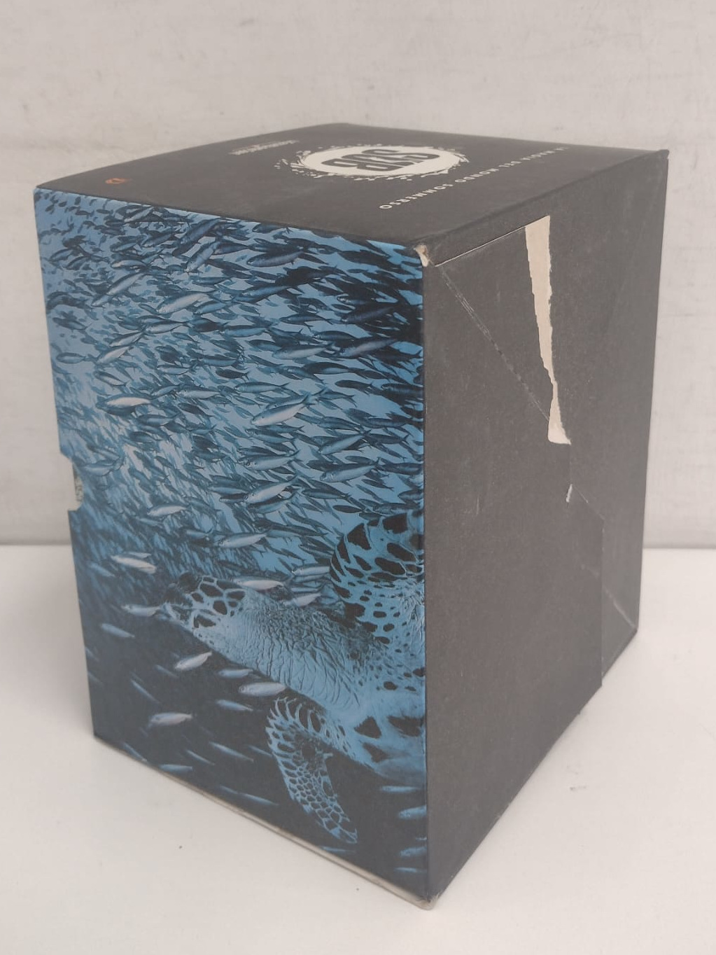 WhatsApp Image 2026-04-09 at 13.24.02 (5)