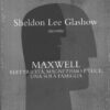 DVD Lee Glashow racconta Maxwell: Elettricità magnetismo luce una sola famiglia - Beautiful Minds (vol. 10) Versione da edicola - DVD in Italiano
