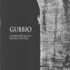 Gubbio L'immortalità della pietra di Guidi, Eriberto ed. Andrea Livi Editore