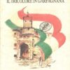 Il tricolore in Garfagnana di Circolo culturale Garfagnana ed. Maria Pacini Fazzi