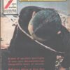 7 Anni di Guerra Appendice - Fotostoria n. 2 - Guerra Crudele ed. Ardita (1958)