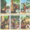 Figurine Liebig - Serie n. 1434 - Nuttige Planten van Kongo - Edizione Fiamminga 1941