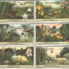 Figurine Liebig - Serie n. 1516 - De Flora van de Vijver - Edizione Fiamminga 1951