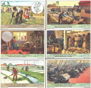 Figurine Liebig - Serie n. 1401 - Industrie du lin en Belgique - Edizione Belga 1939