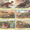Figurine Liebig - Serie n. 1705 - Dieren uit voorhistorische tijden - Edizione Fiamminga 1959