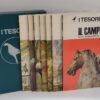 I Tesori - Primi 7 volumi ed. Sadea Sansoni