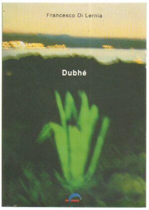 DUMBHE' Catalogo Mostra di Francesco Di Lernia ed. In Arco