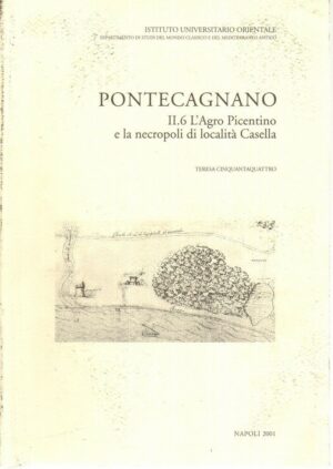 PONTECAGNANO II.6 L'AGRO PICENTINO E LA NECROPOLI DI LOCALITA' CASELLA