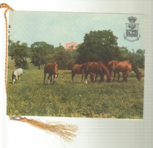 Calendario Scuola Militare di Equitazione Anno 1970 Con cordoncino originale