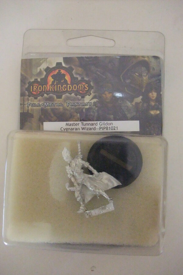 IRON-KINGDOMS-MASTER-TUNNARD-GILDON-CYGNARAN-WIZARD-montare-dipingere-Cod-P27-121811001002