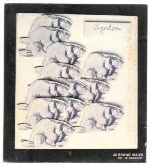 CARLO SGORLON di Bruno Maier ed. La Nuova Italia -  Il Castoro 201